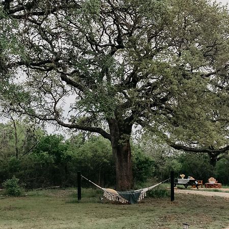The Maverick: A-Frame W/ Hammock And Tree Top View 新布朗费尔斯 外观 照片