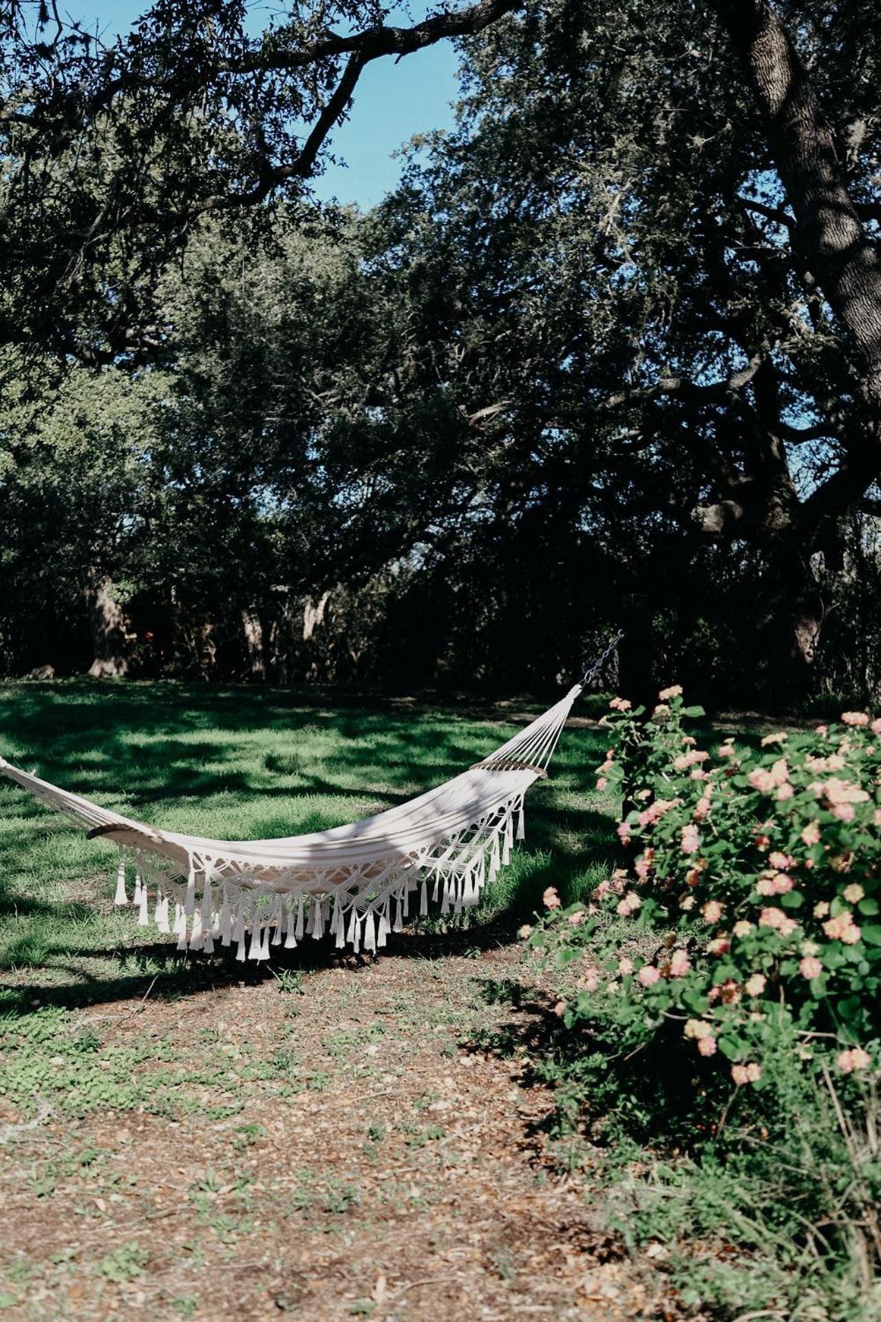 The Maverick: A-Frame W/ Hammock And Tree Top View 新布朗费尔斯 外观 照片