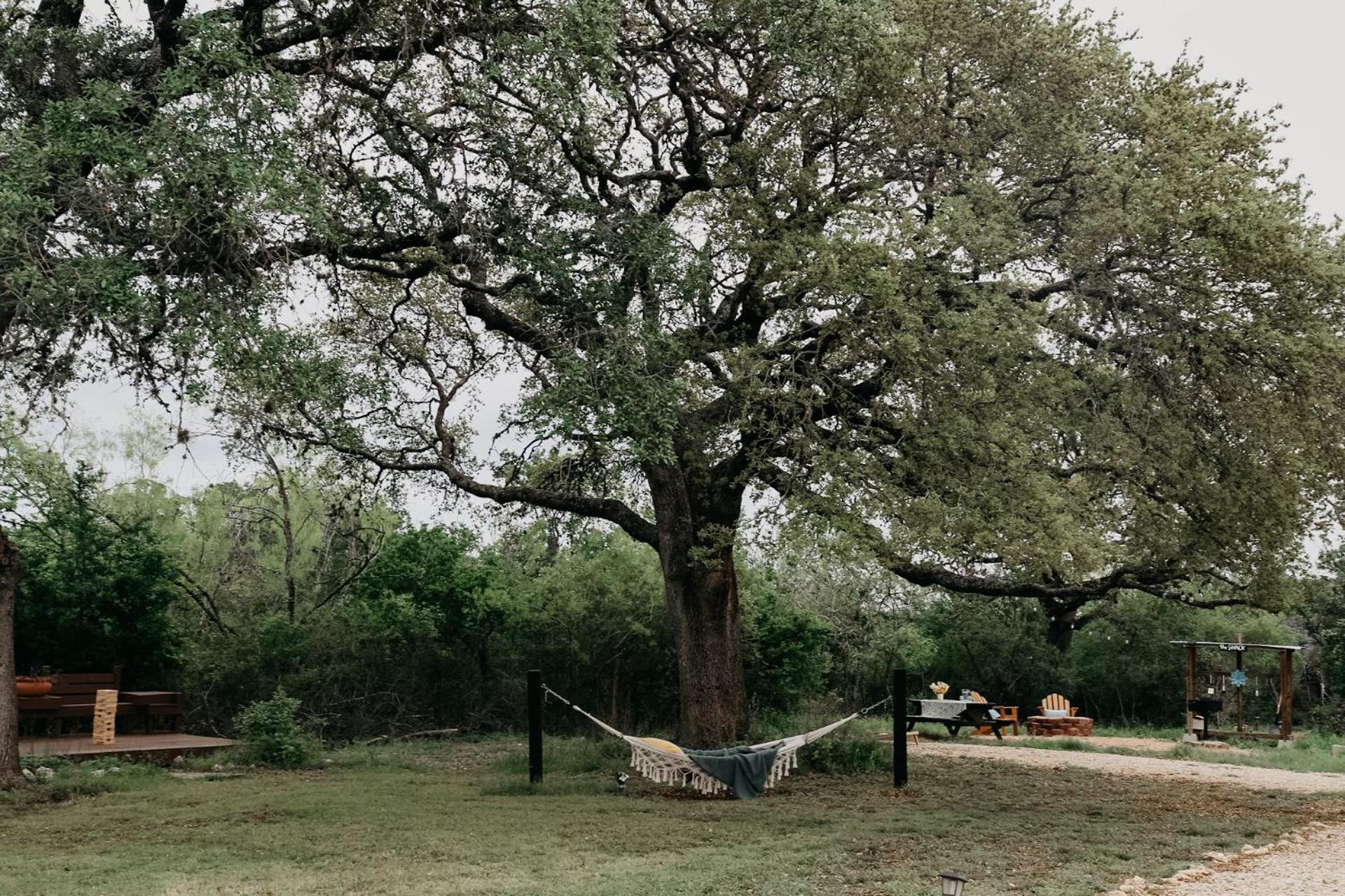 The Maverick: A-Frame W/ Hammock And Tree Top View 新布朗费尔斯 外观 照片